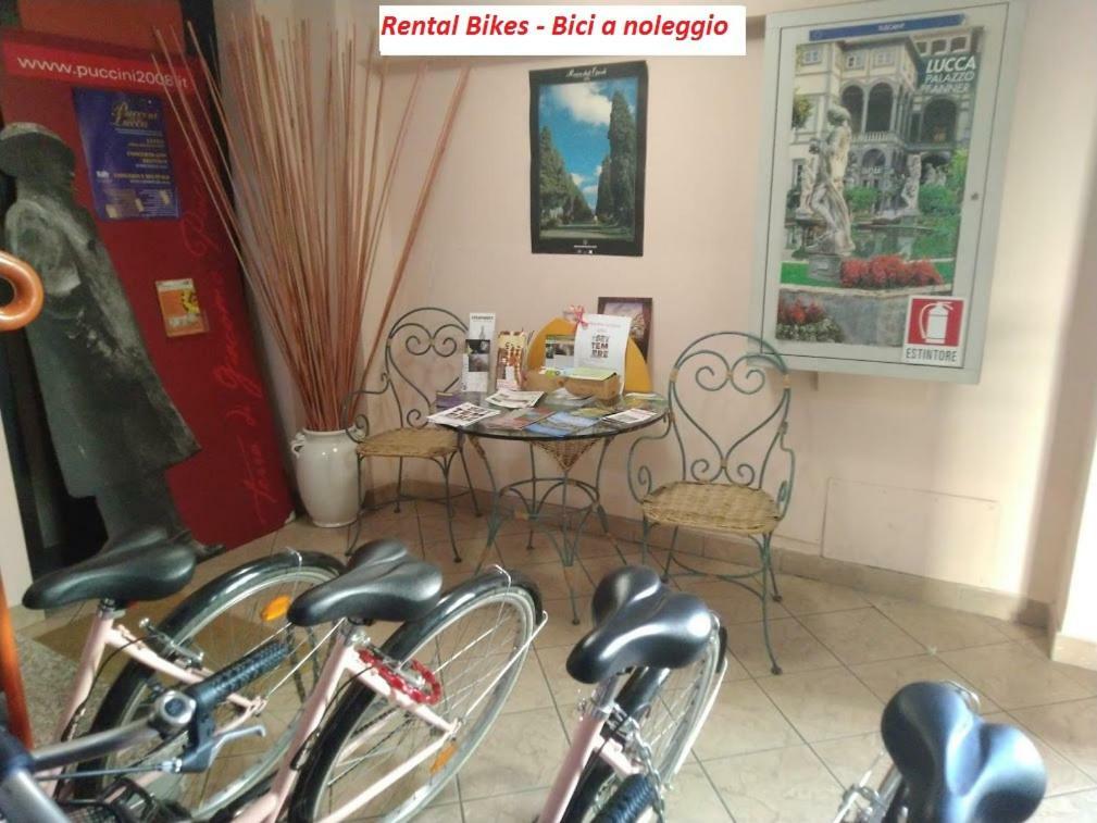 B&B Ai Cipressi ลุคคา ภายนอก รูปภาพ